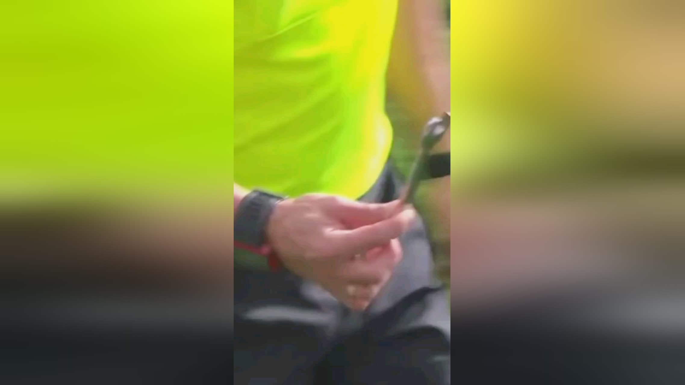 难免忽视了